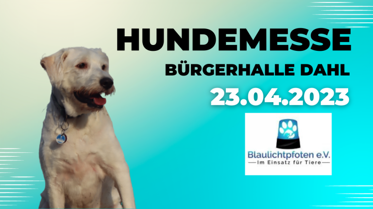 Hundemesse in Hagen-Dahl