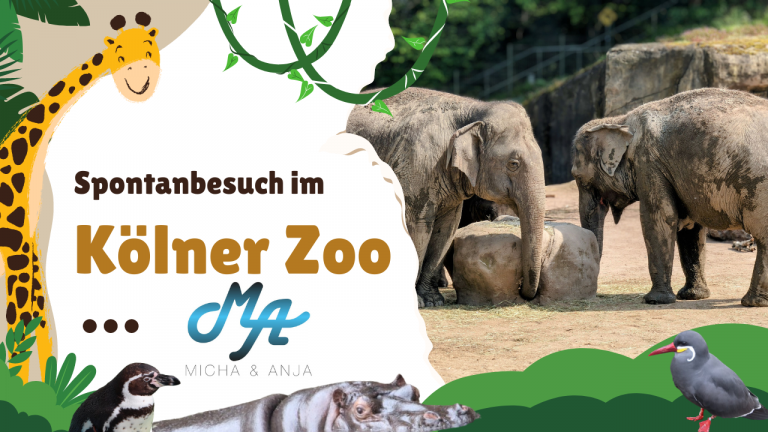 Besuch im Kölner Zoo