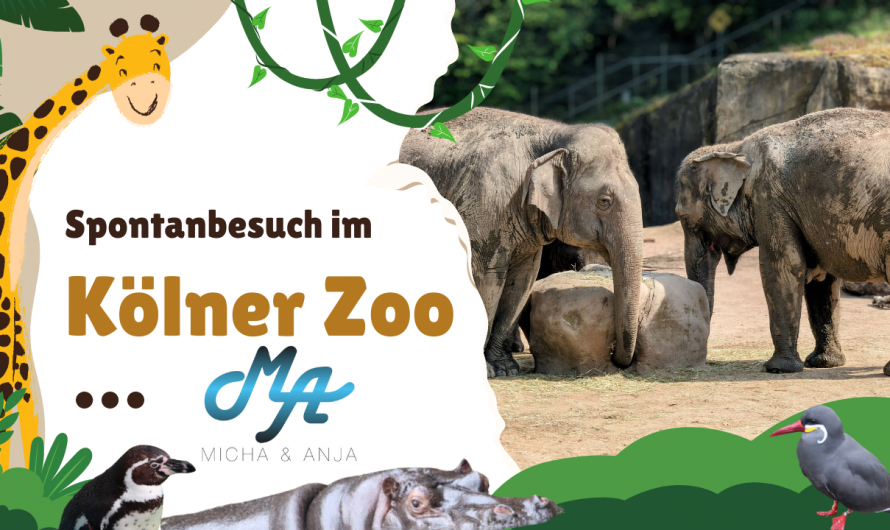 Besuch im Kölner Zoo