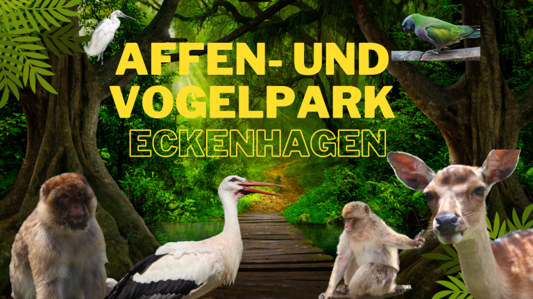 Ausflugsziel: Affen- und Vogelpark Eckenhagen