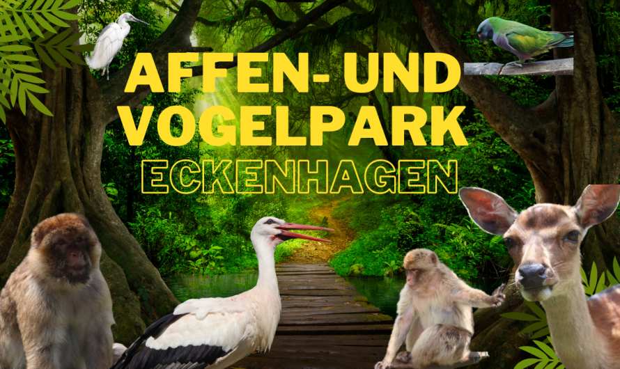 Ausflugsziel: Affen- und Vogelpark Eckenhagen