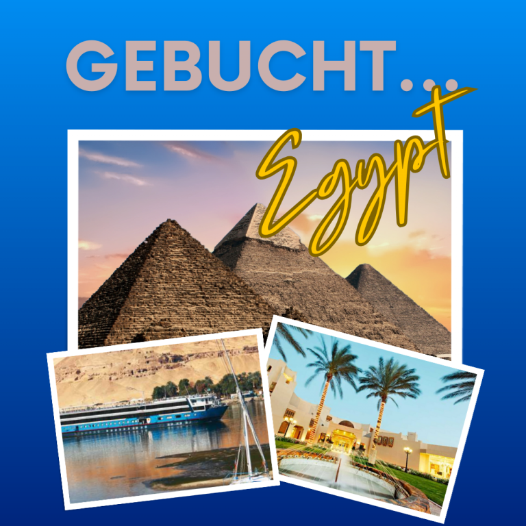 🌴✨ Der Countdown läuft! ✨🌴